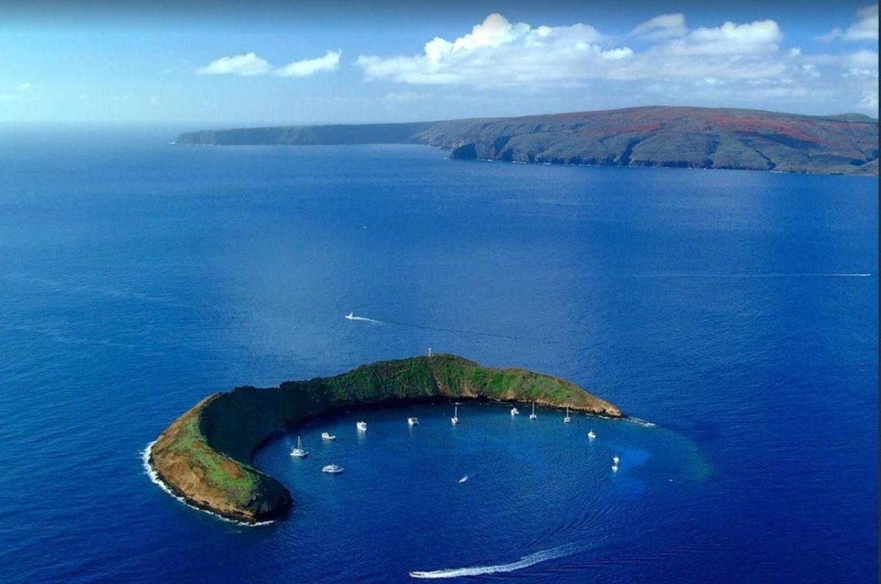 Апартаменти Tropical Maui Kamaole B-Bldg Вайлеа Екстер'єр фото